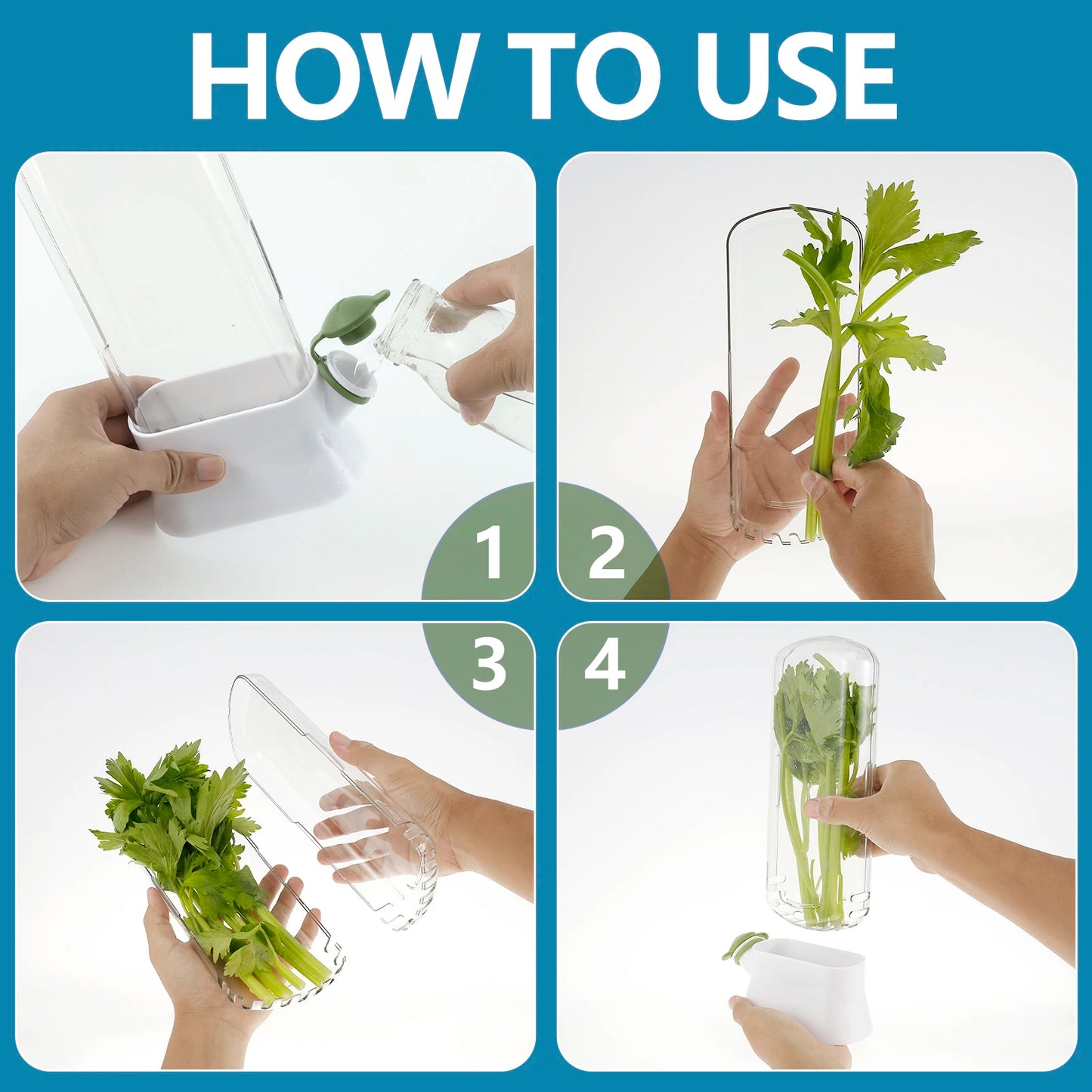 Clear Vegetable & Herb Saver | Container for storing and growing greens