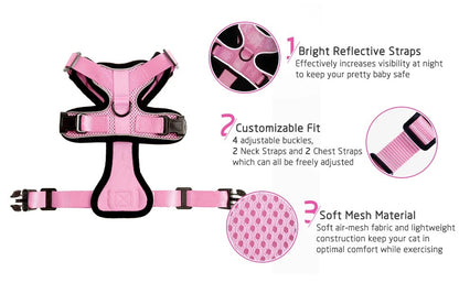 Pet Cat Harness And Leash Set