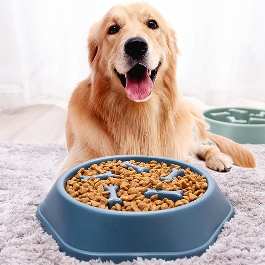 Dog Slow Feeder Bowl