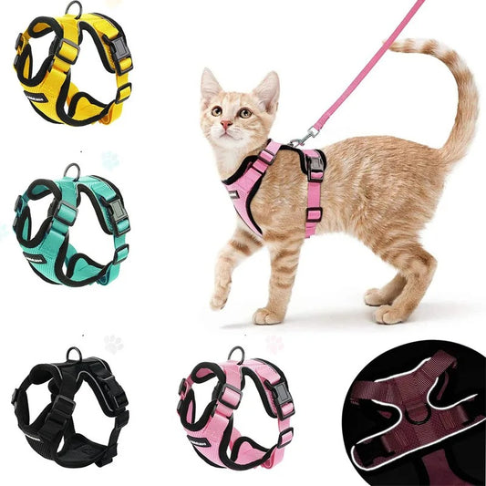 Pet Cat Harness And Leash Set