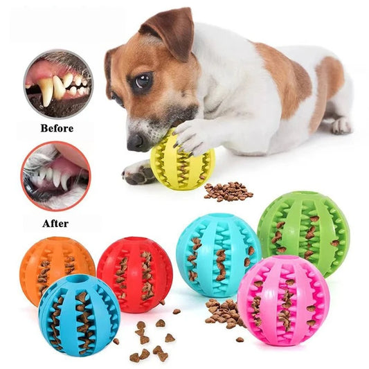 Dogs Elastic Chew Toy