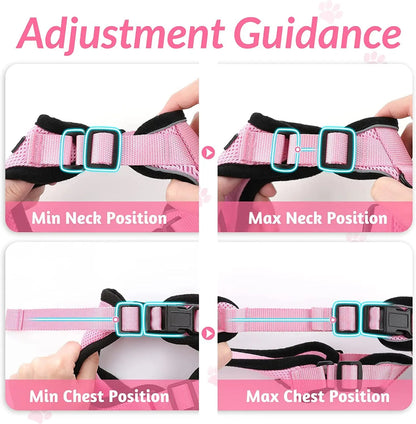 Pet Cat Harness And Leash Set