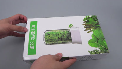 Clear Vegetable & Herb Saver | Container for storing and growing greens