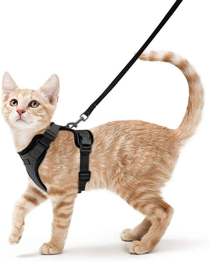 Pet Cat Harness And Leash Set