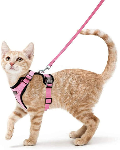 Pet Cat Harness And Leash Set